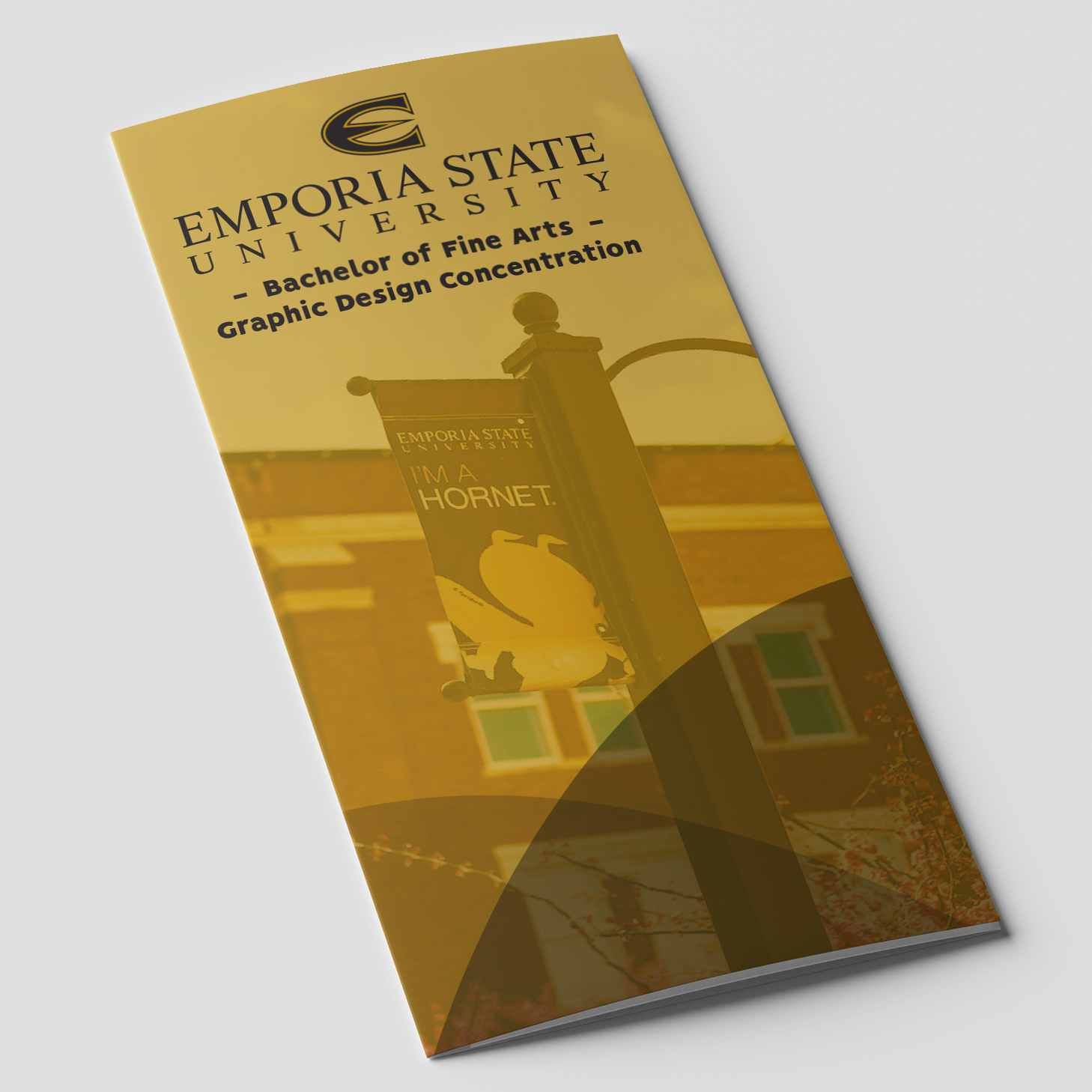 3 Panel Brochure